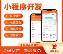 软件开发，APP开发，小程序开发，物联网系统定制开发
